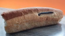 Il découvre un cent-pieds cuit sur une baguette  