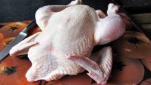 Food scare: Salmonella outbreak affecting chicken farms