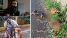 Forest-Side : deux chiens torturés, selon un habitant de la région 