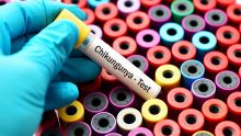 La Réunion: 12 décès liés au chikungunya depuis le début de l'année, selon Santé publique France