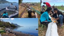 [En images] Mobilisation pour faire barrage à une éventuelle remontée de la nappe de mazout à l’île-aux-Cerfs