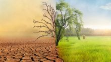 Sondage Afrobarometer – Changement climatique : une action collective souhaitée