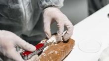 Saisie record de cocaïne à Rotterdam, plus de 4 tonnes