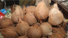 Thaipoosam Cavadee : légumes et noix de coco disponibles auprès de l’AMB
