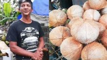 Folklore électorale : Rishi Nuckbunsee a vécu le scrutin avec ses noix de cocos