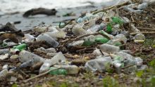 Déversement illégal de déchets : une vingtaine de dénonciations à la Police de l’Environnement depuis mardi