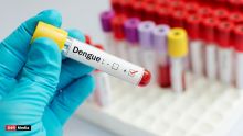 Dengue : 36 cas actifs à Maurice