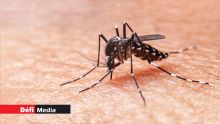 Dengue : 17 cas actifs à Maurice 