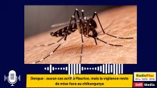 Dengue : aucun cas actif à Maurice, mais la vigilance reste de mise face au chikungunya