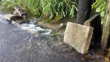 Nettoyage des drains : l’incivisme de certains Mauriciens déploré