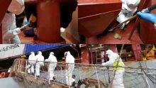Au Port : saisie de Rs 30 millions d’héroïne sur un navire indonésien