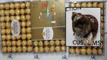 Un habitant de Phoenix avait caché Rs 1 M de cannabis dans des chocolats Ferrero Rocher 
