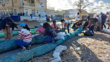 Nettoyage des lagons après le naufrage du Wakashio : 5 000 bénévoles inscrits auprès de l’ONG ECO-SUD