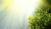 Aucun avertissement de pluies torrentielles n'est en vigueur à Maurice