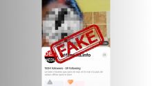 Attention : faux profil sur TikTok !