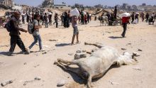 Trump dit voir des signes de réelle famine à Gaza