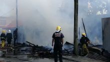 Port-Louis : un chien sauvé d'un incendie par les pompiers