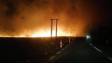 Mont-Choisy : incendie dans un champ de canne, prudence sur la route 