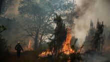La canicule se décale à l'est, 17.000 hectares brûlés en Gironde