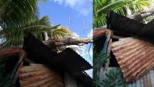 [Images] African Town, Riambel : un filao s’abat sur deux maisons en pleine nuit