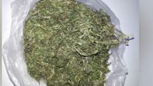 Henrietta : un planteur arrêté pour trafic de cannabis 