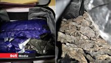 Saisie de 5,7 kg de cannabis à l'aéroport, lundi : les autorités essaient d'identifier le commanditaire 