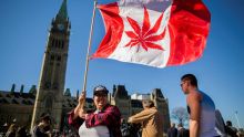 Canada : les députés votent la légalisation du cannabis