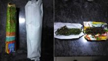 Alma : un suspect vend 10 rouleaux de cannabis à l'Adsu