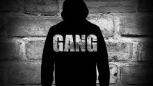 Agressions, intimidations, règlement de comptes… : dans l’univers des gangs sans foi ni loi 