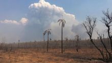 4 Minutes aux 4 Coins du Monde : Bolivie, quatre millions d’hectares dévastés par les incendies 
