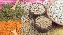 Consommation : vers une nouvelle baisse des prix des grains secs 