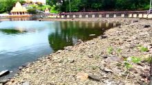 Sècheresse - Grand-Bassin : le lac sacré à son plus bas niveau depuis plusieurs années
