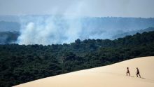 La France a chaud, plus de 10.000 hectares brûlés en Gironde