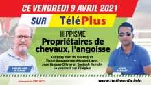 Hippisme : la parole aux propriétaires