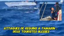 Tamarin : attaques de requins, deux touristes blessés