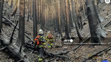 Feux de forêt au Japon: la pluie freine la propagation de l'incendie