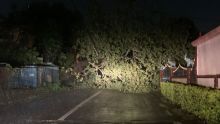 Batsirai : la chute d’un arbre coupe la circulation sur la route reliant GRNO et Pailles
