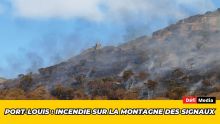 Port-Louis : incendie sur la montagne des Signaux