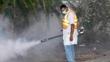 Dengue : la situation semble se stabiliser