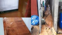 Une maison inondée à Coromandel : «Delo la inn rant dans salon, sal de bin, partou»