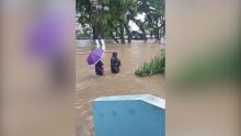 [Dans l’Est] Pluies torrentielles - Clémencia : réveil pieds dans l'eau et dans la boue pour des habitants