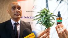 Un premier médicament à base de cannabis sera disponible dès cette semaine dans les centres de santé publics 