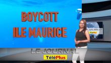 Le JT - Chasse à la baleine : des Réunionnais appellent au boycott de Maurice