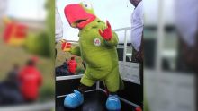 JIOI : histoire de la mascotte Krouink, un cateau vert qui veut mettre la faya autour des athlètes mauriciens