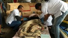 Grève de la faim : victime de malaise, Rajespedee Candasamy veut poursuivre son action 