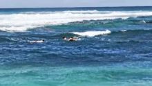 Roches-Noires : trois jeunes sur leur planche à surf font fi des consignes