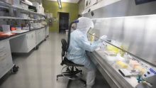 Covid-19 : des tests chez C-Lab à Rs 2 500 