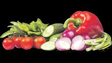 75 % des légumes : affichent une baisse des prix