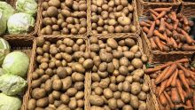 Post-Batsirai : Importation de plusieurs tonnes de légumes pour éviter toute pénurie sur le marché