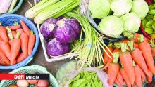 Production locale : plus de 155 000 tonnes de légumes récoltées l’an dernier